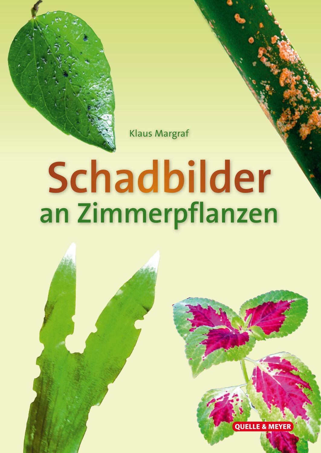 Cover: 9783494019796 | Schadbilder an Zimmerpflanzen | Klaus Margraf | Stück | 10 S. | 2024