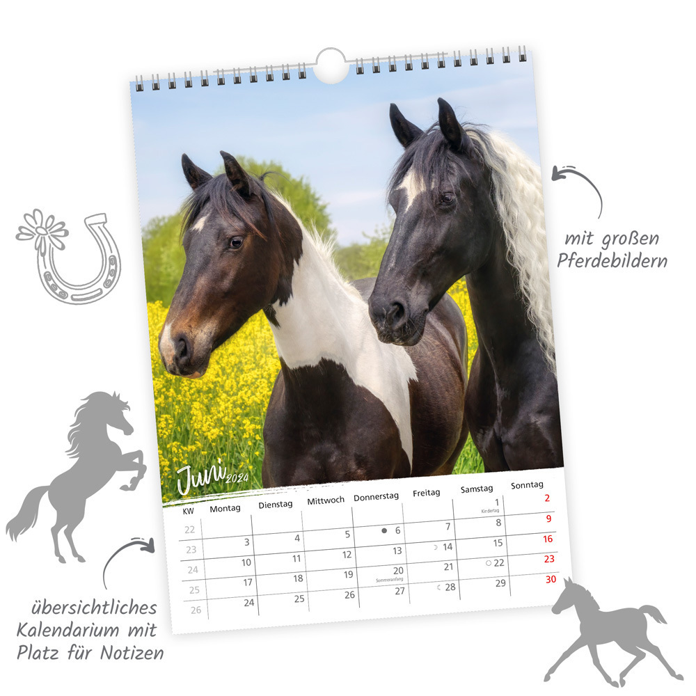 Bild: 9783965529861 | Trötsch Classickalender Pferde 2024 | Wandkalender | Co.KG | Kalender