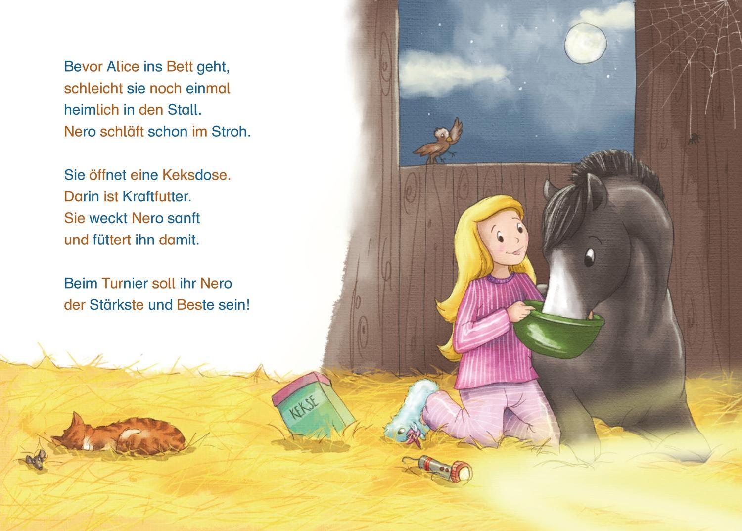 Bild: 9783751203098 | Paula auf dem Ponyhof. Das Ponyturnier | Ursel Scheffler | Buch | 2022