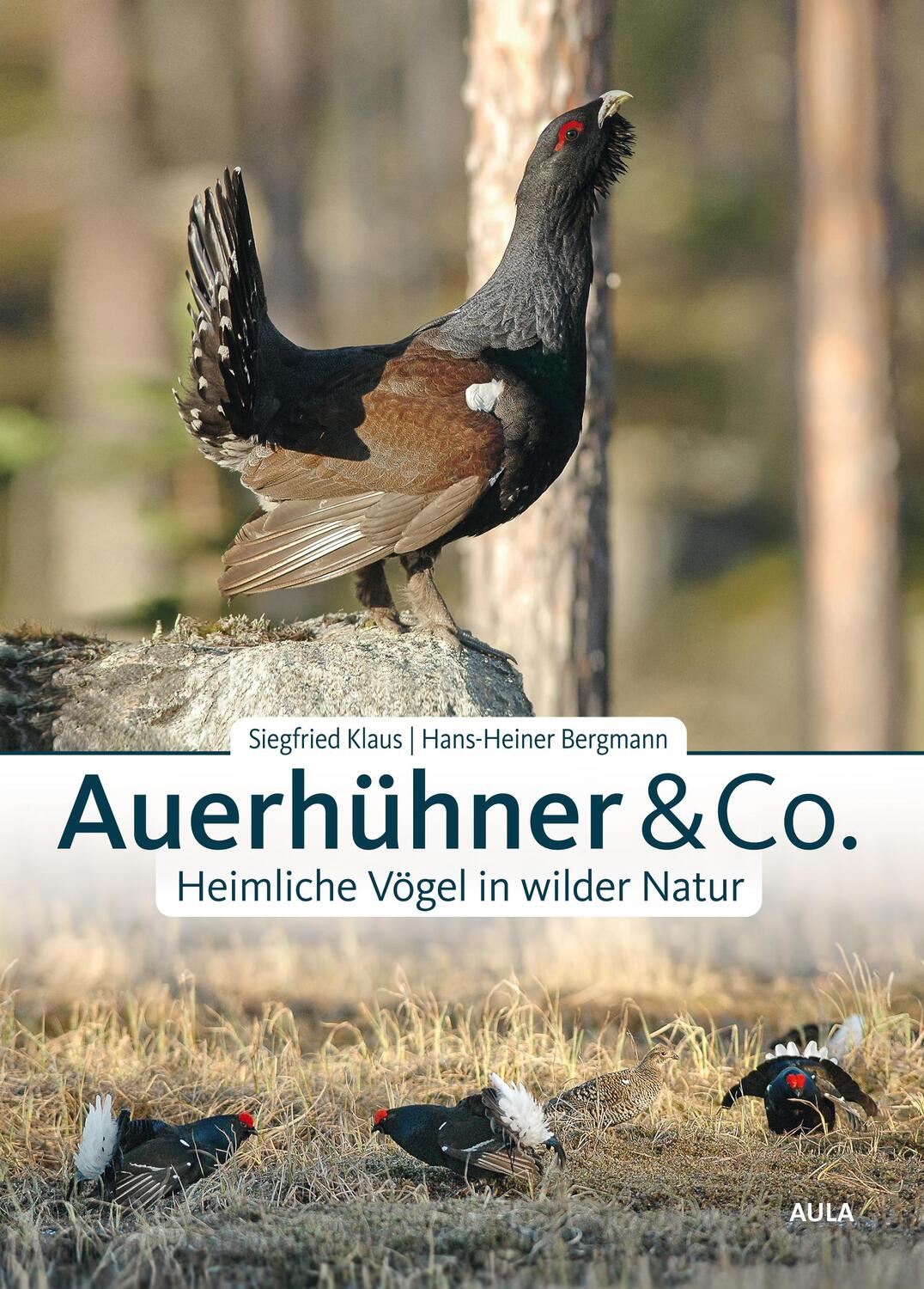 Cover: 9783891048351 | Auerhühner & Co. | Heimliche Vögel in wilder Natur | Klaus (u. a.)