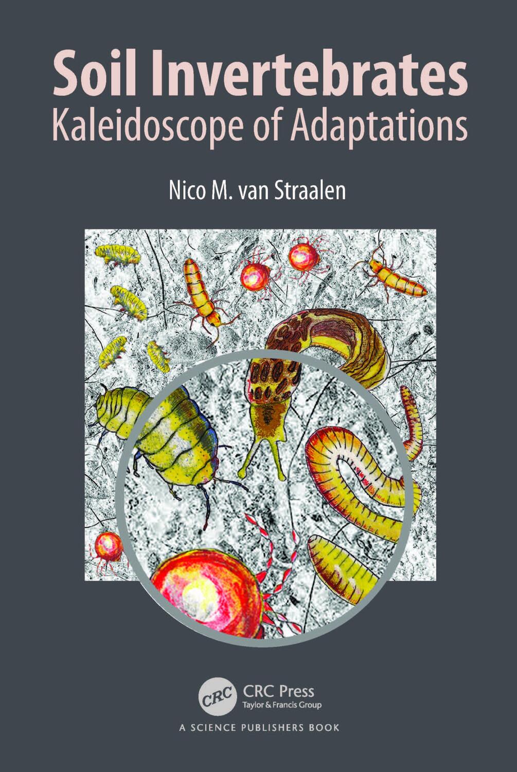 Cover: 9781482231236 | Soil Invertebrates | Kaleidoscope of Adaptations | Straalen | Buch