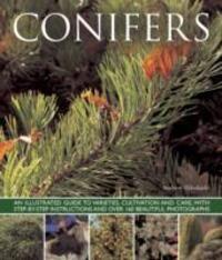 Cover: 9781780192635 | Conifers | Andrew Mikolajski | Taschenbuch | Kartoniert / Broschiert