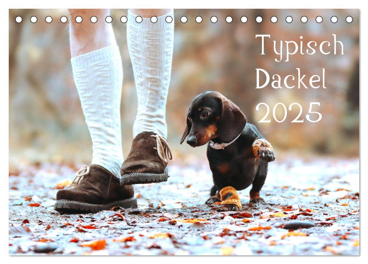 Cover: 9783435719006 | Typisch Dackel 2025 (Tischkalender 2025 DIN A5 quer), CALVENDO...