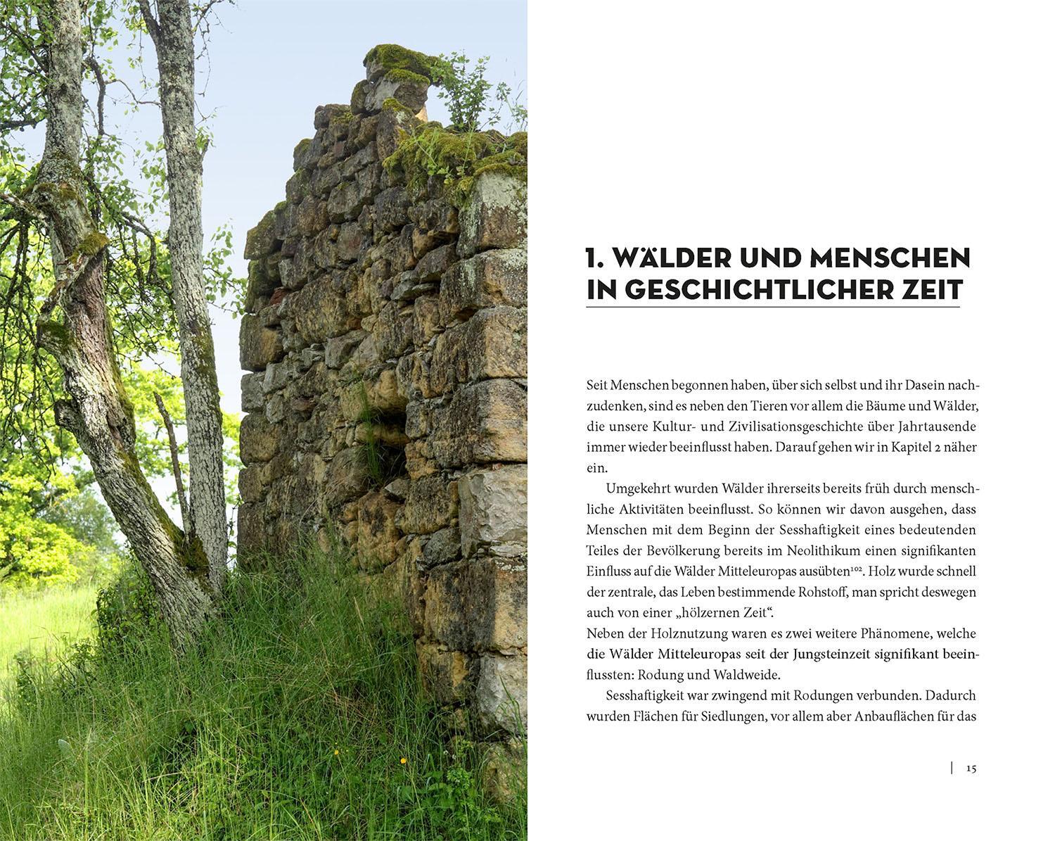 Bild: 9783440175293 | Die Sache mit dem Wald | Sven Herzog | Buch | 352 S. | Deutsch | 2023