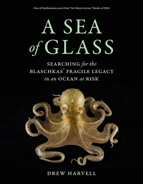 Cover: 9780520303577 | A Sea of Glass | Drew Harvell | Taschenbuch | Kartoniert / Broschiert