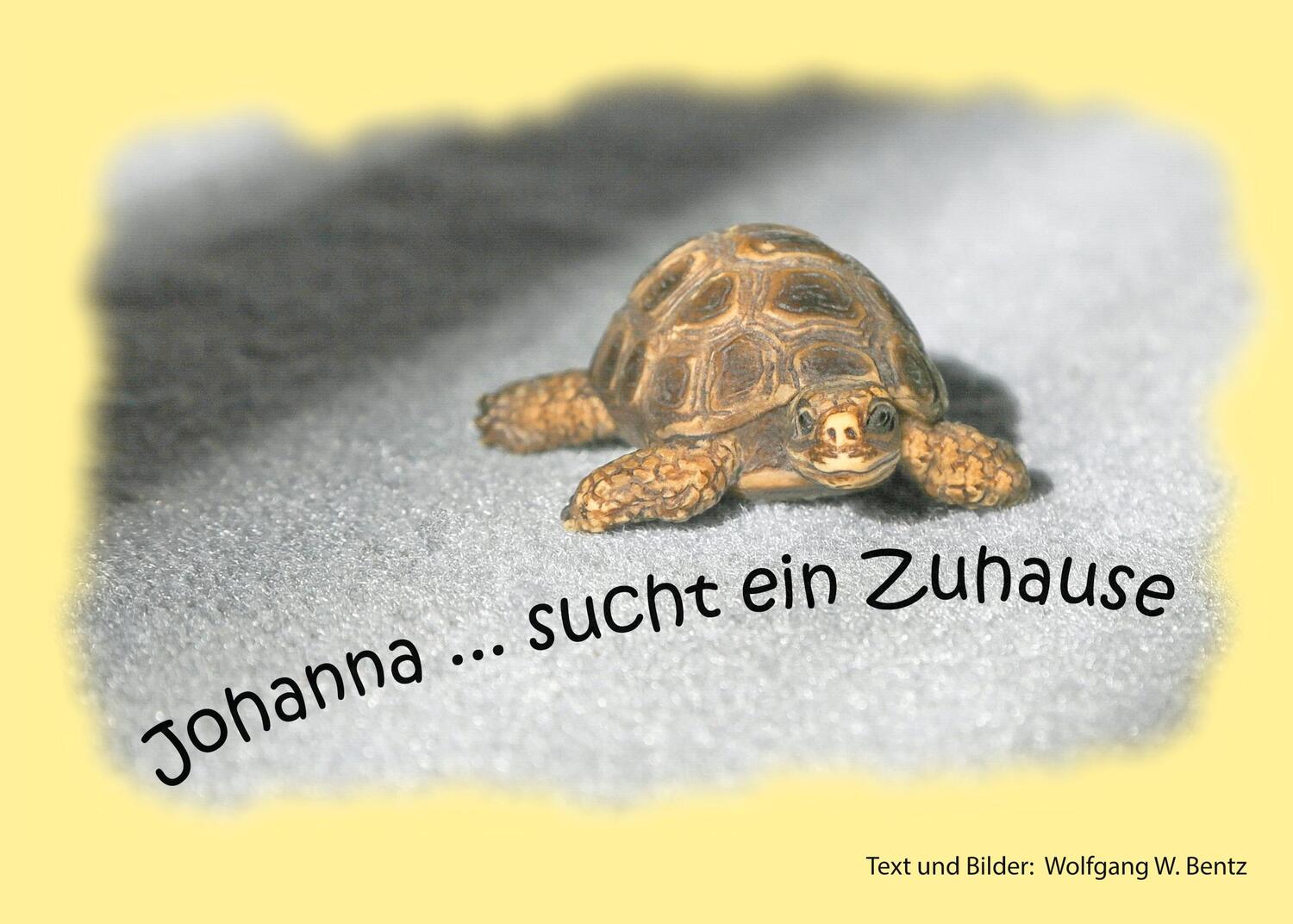 Cover: 9783752674750 | Johanna sucht ein Zuhause | Wolfgang W. Bentz | Taschenbuch