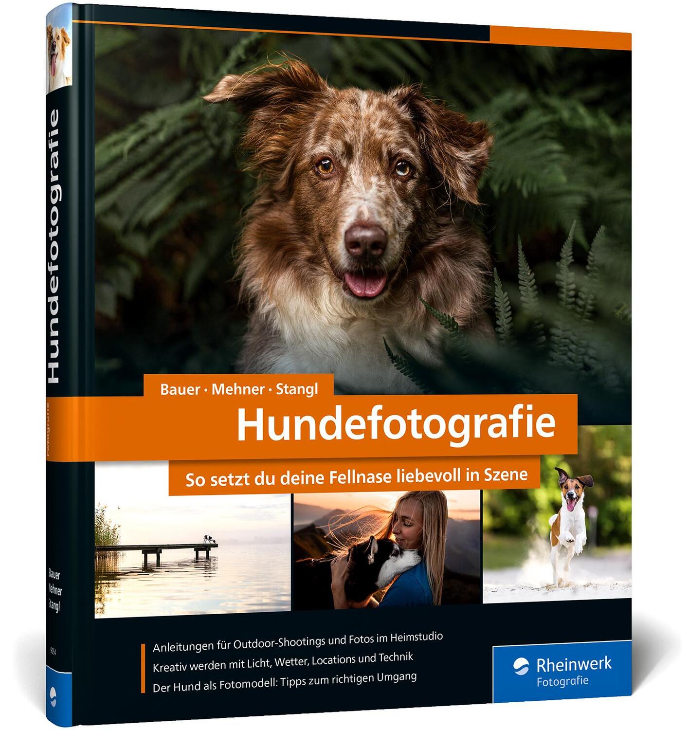 Cover: 9783836290548 | Hundefotografie | André Bauer (u. a.) | Buch | Rheinwerk Fotografie