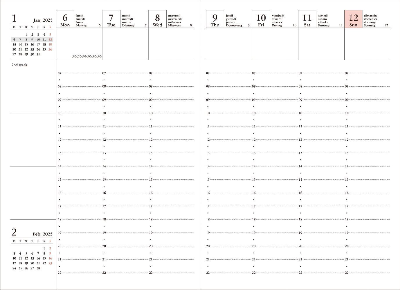 Bild: 4550045127638 | MARK'S 2024/2025 Taschenkalender A6 vertikal, Cats, Blue | Mark's Inc