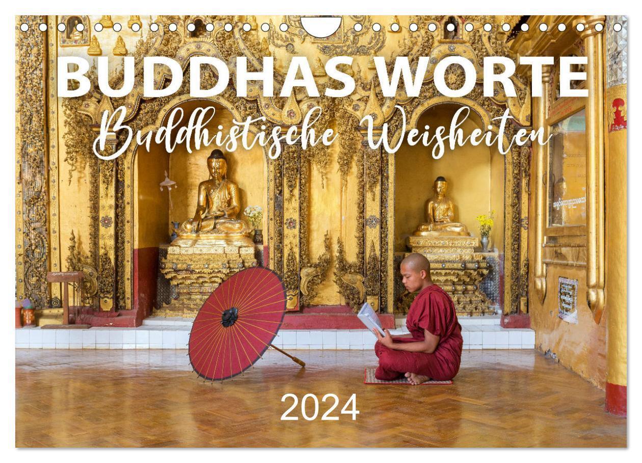 Cover: 9783675508996 | BUDDHAS WORTE - Buddhistische Weisheiten (Wandkalender 2024 DIN A4...