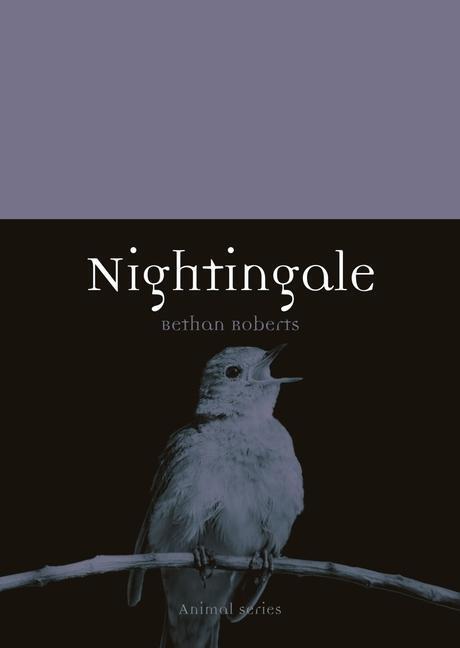 Cover: 9781789144741 | Nightingale | Bethan Roberts | Taschenbuch | Animal | Englisch | 2021