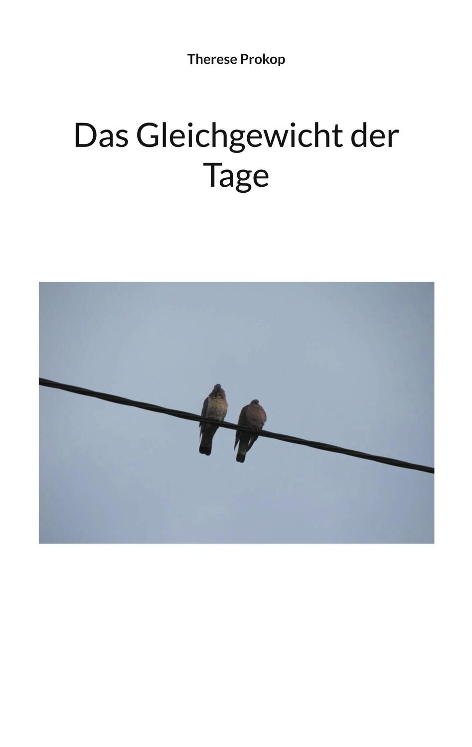 Cover: 9783757891923 | Das Gleichgewicht der Tage | Therese Prokop | Taschenbuch | Paperback