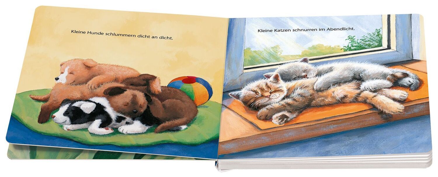 Bild: 9783473317899 | ministeps: Wenn kleine Tiere müde sind (Kleine Ausgabe) | Sabine Cuno