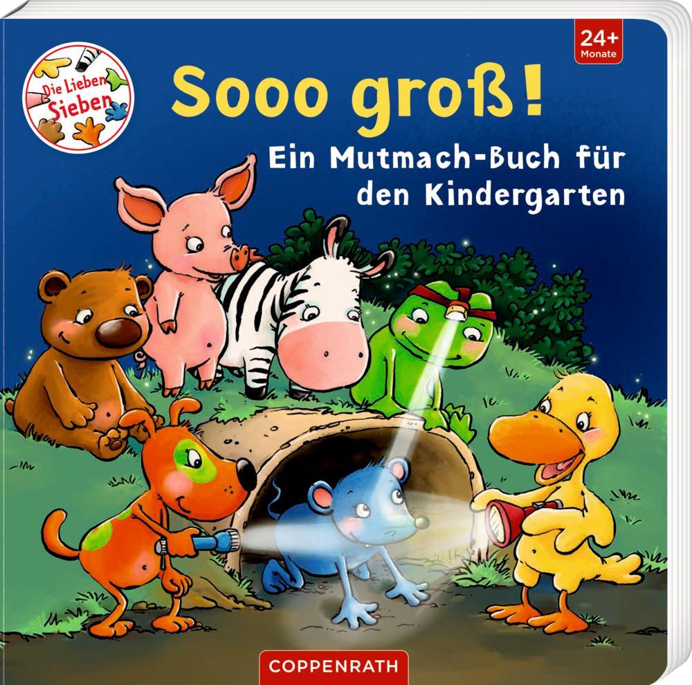 Cover: 9783649644002 | Sooo groß! | Ein Mutmach-Buch für den Kindergarten | Kerstin Völker