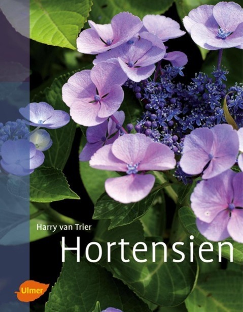 Cover: 9783800176335 | Hortensien | Harry van Trier | Buch | Deutsch | 2011