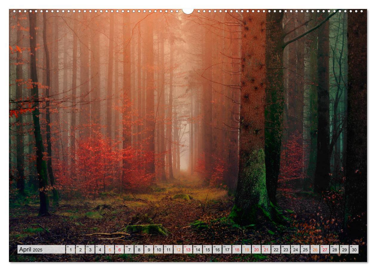 Bild: 9783435071173 | Wald - mystische Spaziergänge (Wandkalender 2025 DIN A2 quer),...