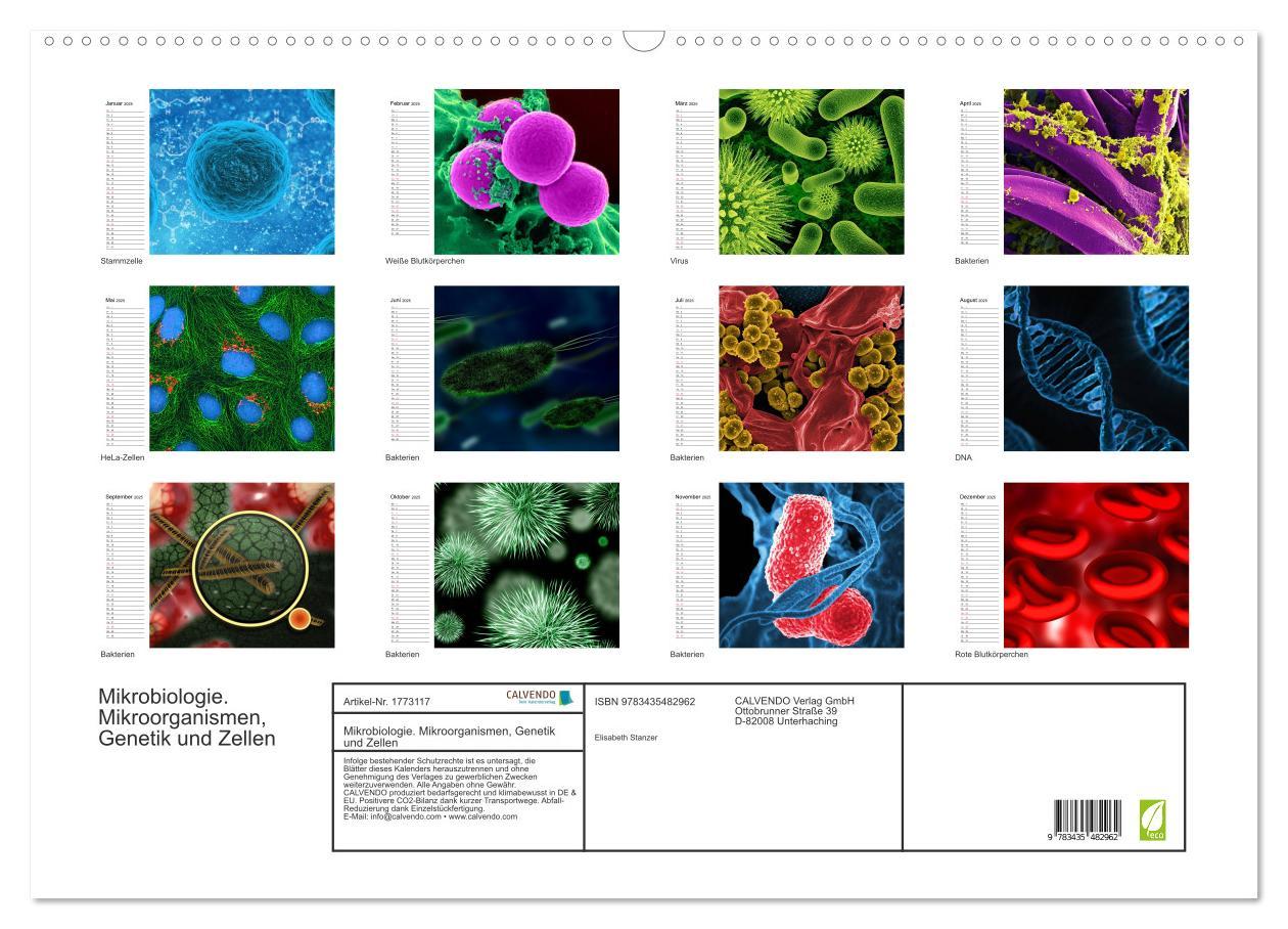 Bild: 9783435482962 | Mikrobiologie. Mikroorganismen, Genetik und Zellen (Wandkalender...