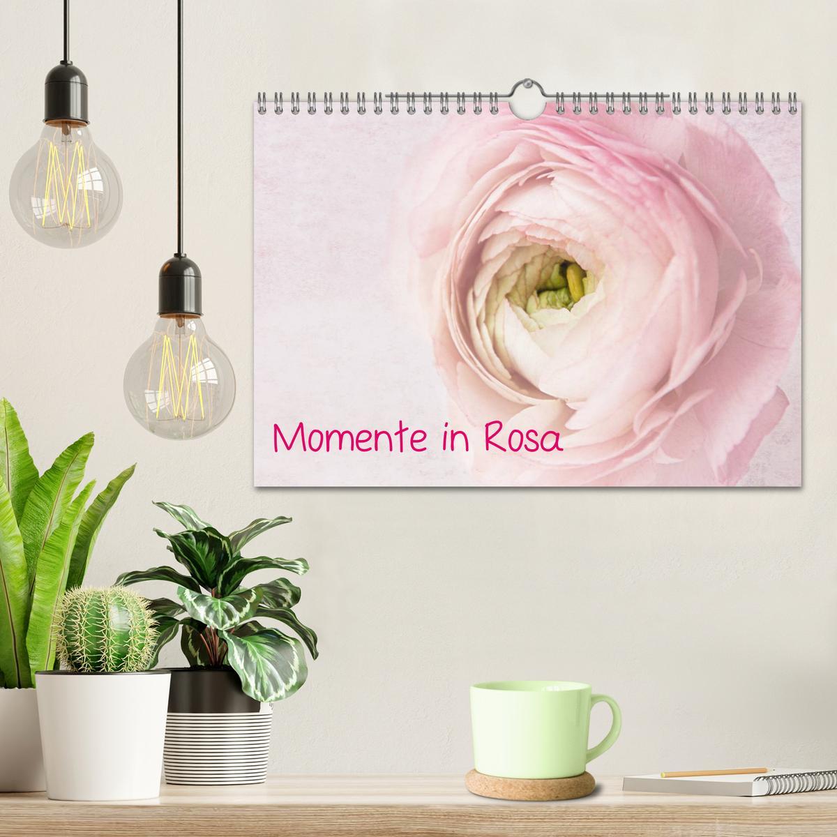 Bild: 9783435831036 | Momente in Rosa (Wandkalender 2025 DIN A4 quer), CALVENDO...