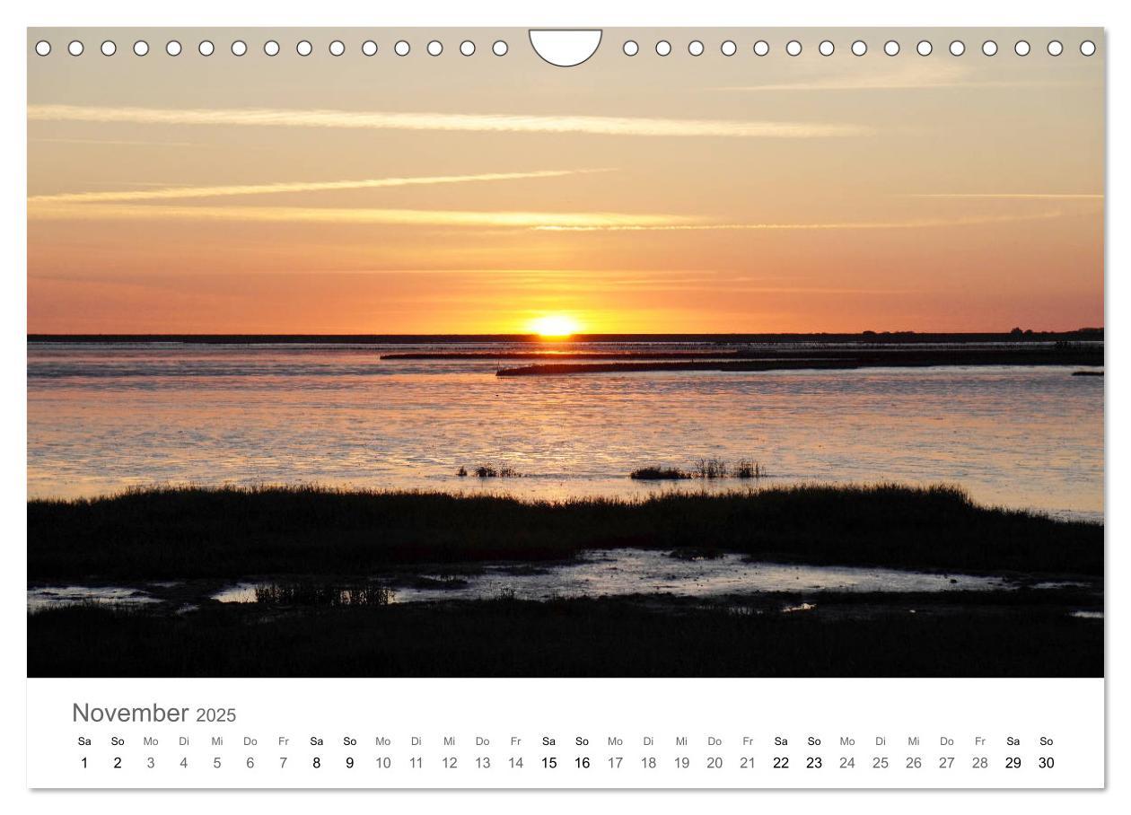 Bild: 9783435220045 | Nordfriesland (Wandkalender 2025 DIN A4 quer), CALVENDO Monatskalender