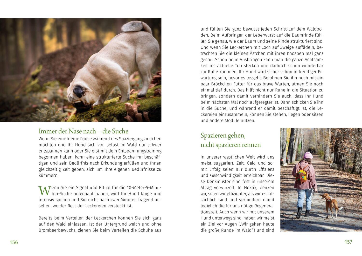 Bild: 9783936188813 | Waldsamkeit | Ein Waldbaden-Entspannungsprogramm für Mensch und Hund
