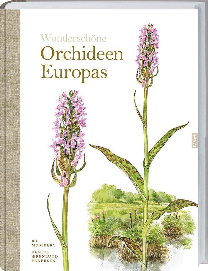 Cover: 9783784354934 | Wunderschöne Orchideen Europas | Bo Mossberg (u. a.) | Buch | Deutsch