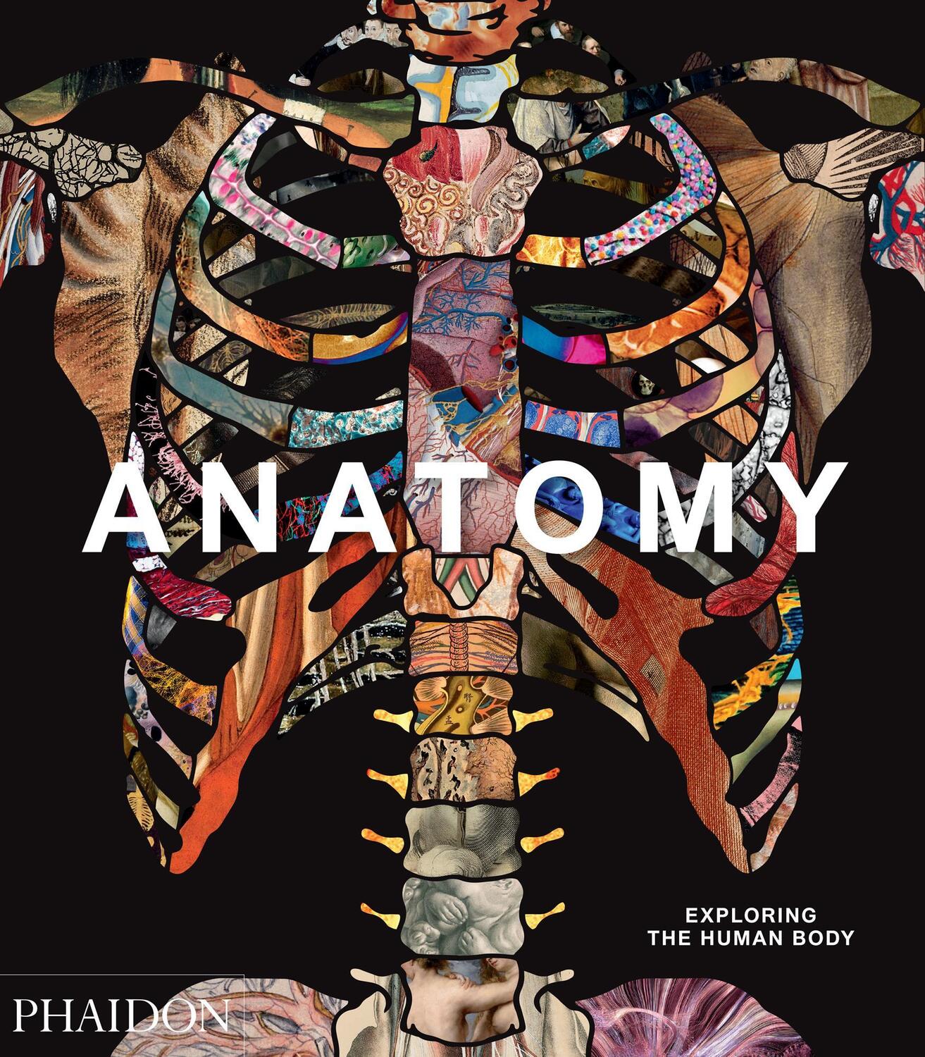 Cover: 9780714879888 | Anatomy: Exploring the Human Body | Buch | Englisch | 2019 | Phaidon