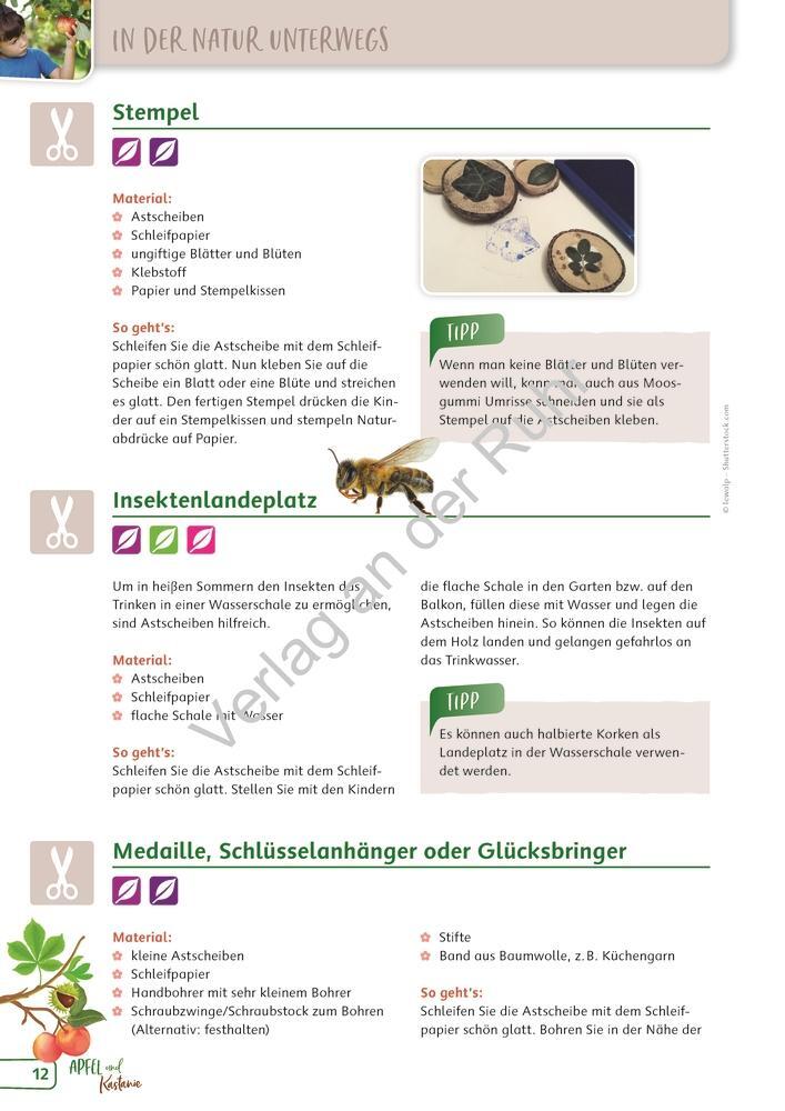 Bild: 9783834662101 | Paket: Heimische Bäume | Corinna Weinert (u. a.) | Taschenbuch | 2022