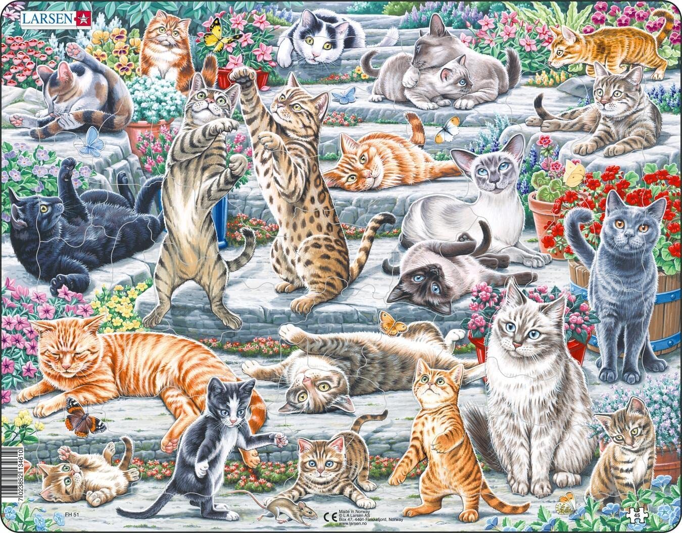 Cover: 7023852134610 | Puzzle - Süße Katzen (verschiedene Rassen und Größen) | Puzzle | 2022