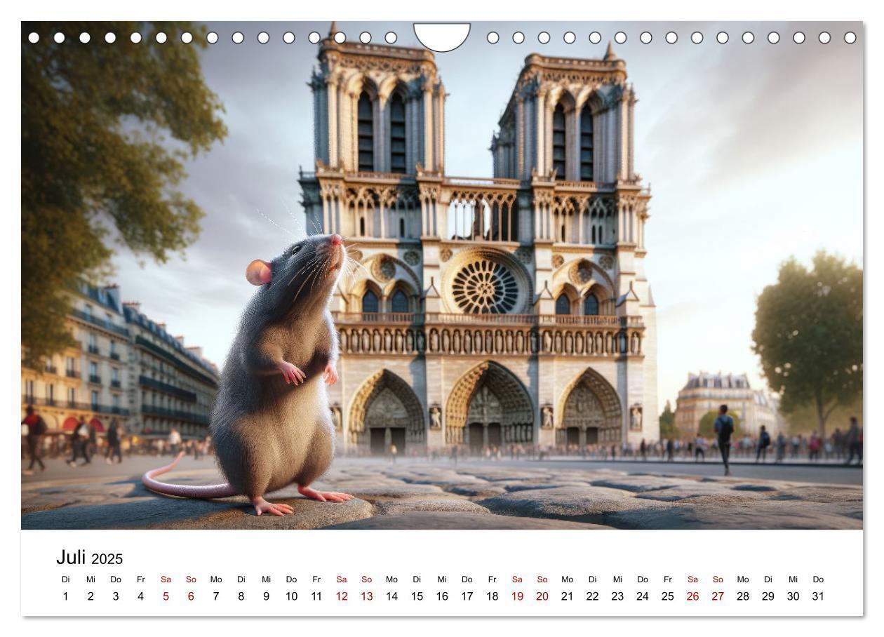 Bild: 9783383787539 | Ratten auf Reisen (Wandkalender 2025 DIN A4 quer), CALVENDO...