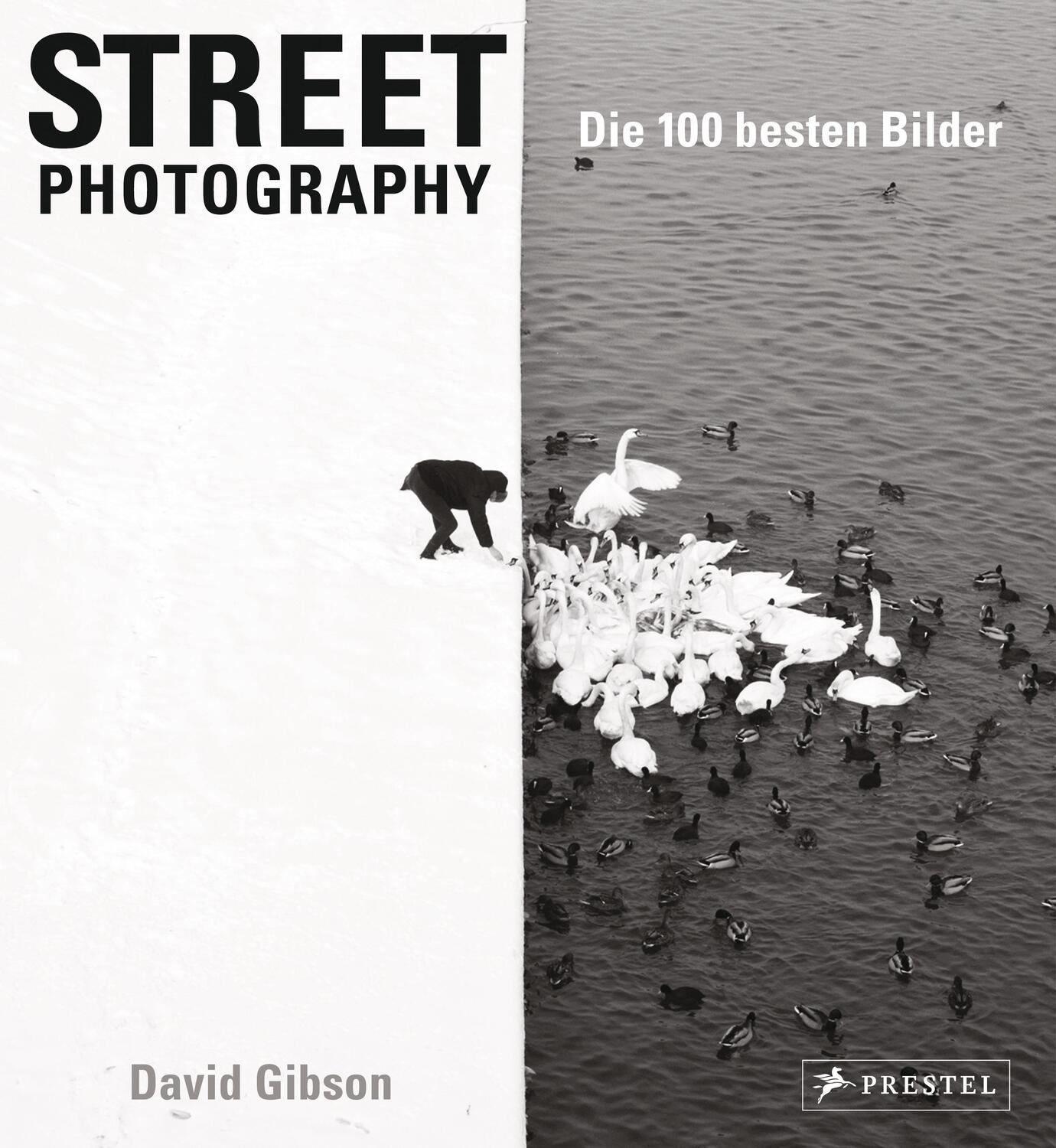Cover: 9783791383354 | Street Photography: Die 100 besten Bilder | David Gibson | Buch | 2017