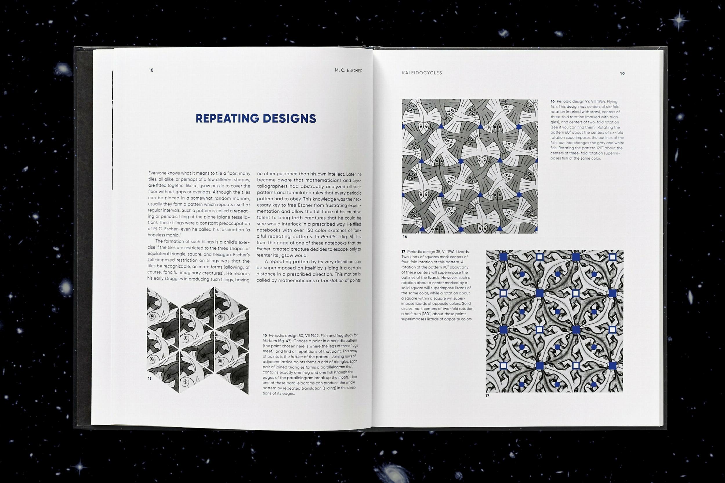 Bild: 9783836583688 | M.C. Escher. Kaleidozyklen | Doris Schattschneider (u. a.) | Buch