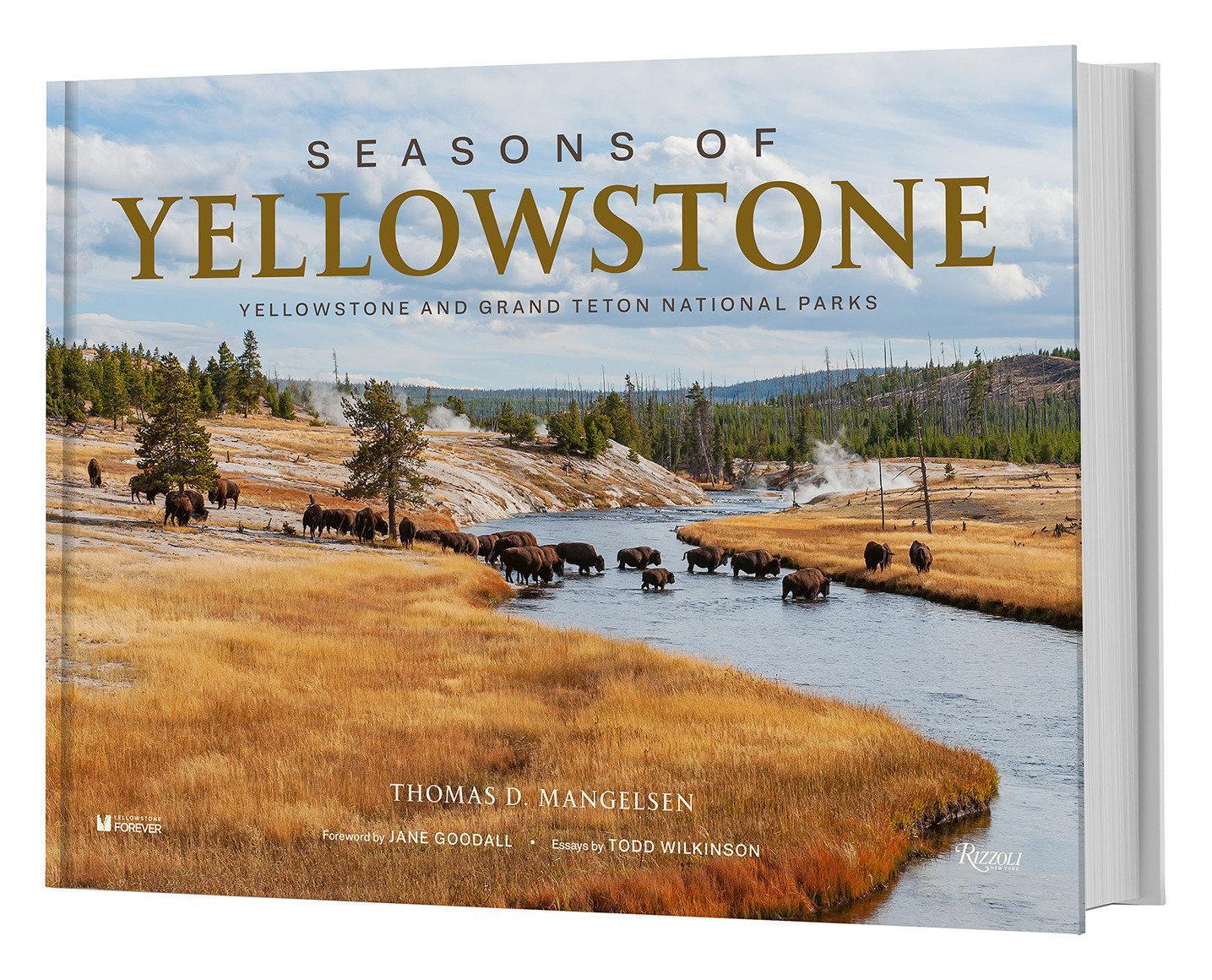 Cover: 9780847872336 | Seasons of Yellowstone | Yellowstone and Grand Teton National Parks