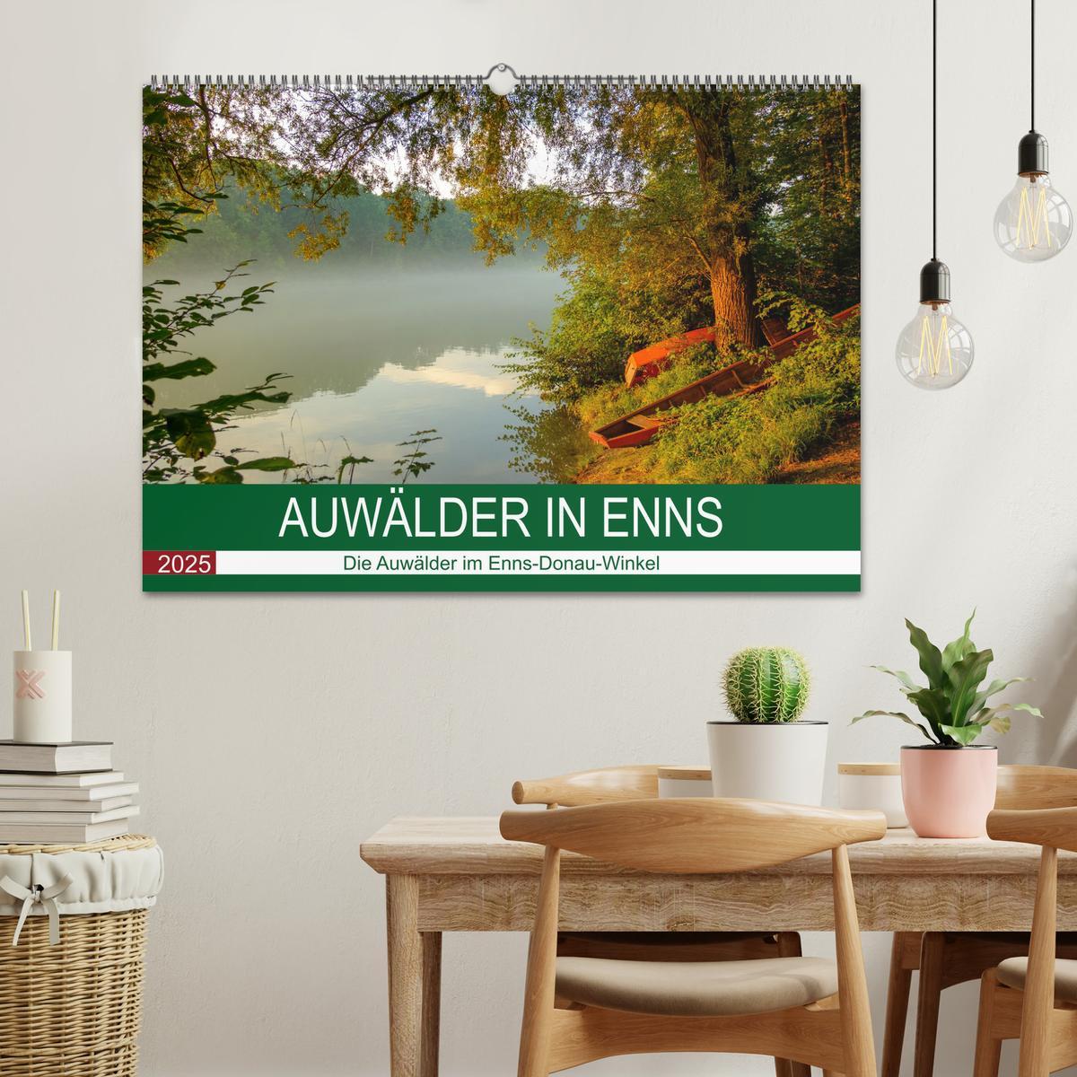 Bild: 9783383994807 | Auwälder bei Enns (Wandkalender 2025 DIN A2 quer), CALVENDO...