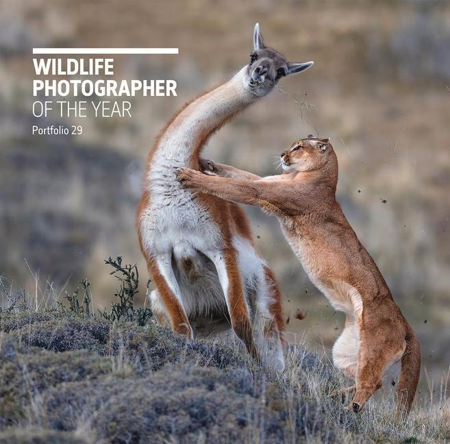 Cover: 9780565094867 | Wildlife Photographer of the Year: Portfolio 29 | Rosamund Kidman Cox
