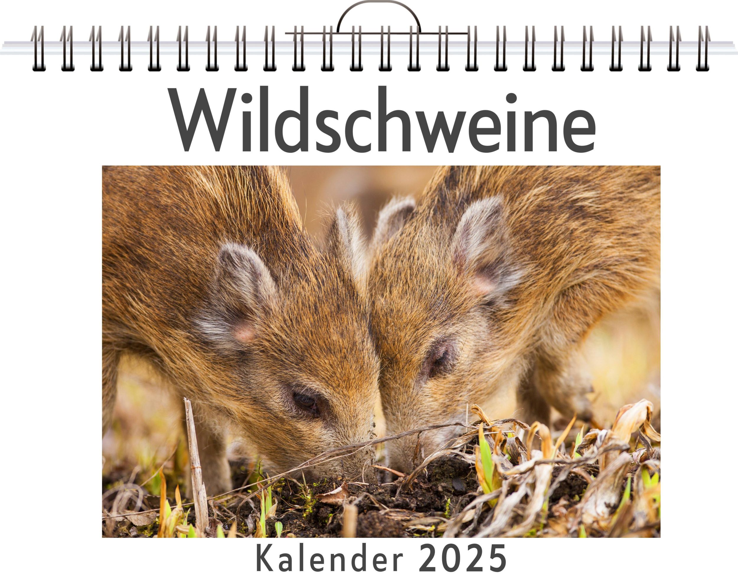 Cover: 9783759119490 | Wildschweine | Paul Lehmann | Kalender | Kalender | 14 S. | Deutsch