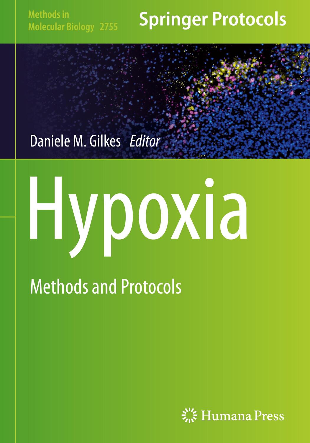 Cover: 9781071636329 | Hypoxia | Methods and Protocols | Daniele M. Gilkes | Buch | xi | 2024