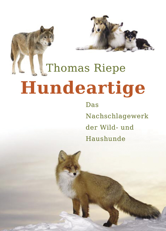 Cover: 9783936188448 | Hundeartige | Das Nachschlagewerk der Wild- und Haushunde | Riepe