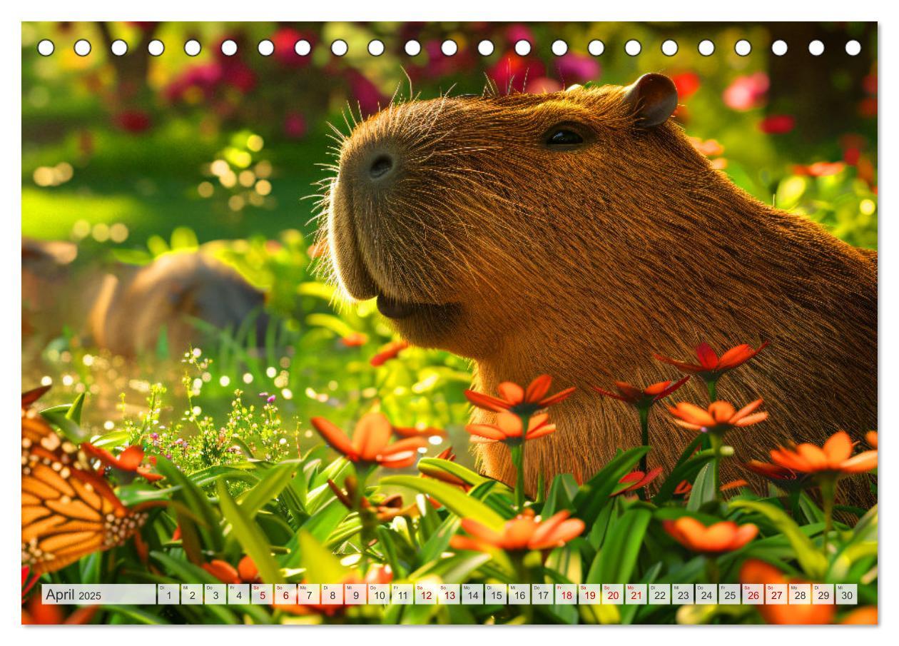 Bild: 9783457163993 | Capybaras im Alltag - Ein Jahr voller Abenteuer (Tischkalender 2025...