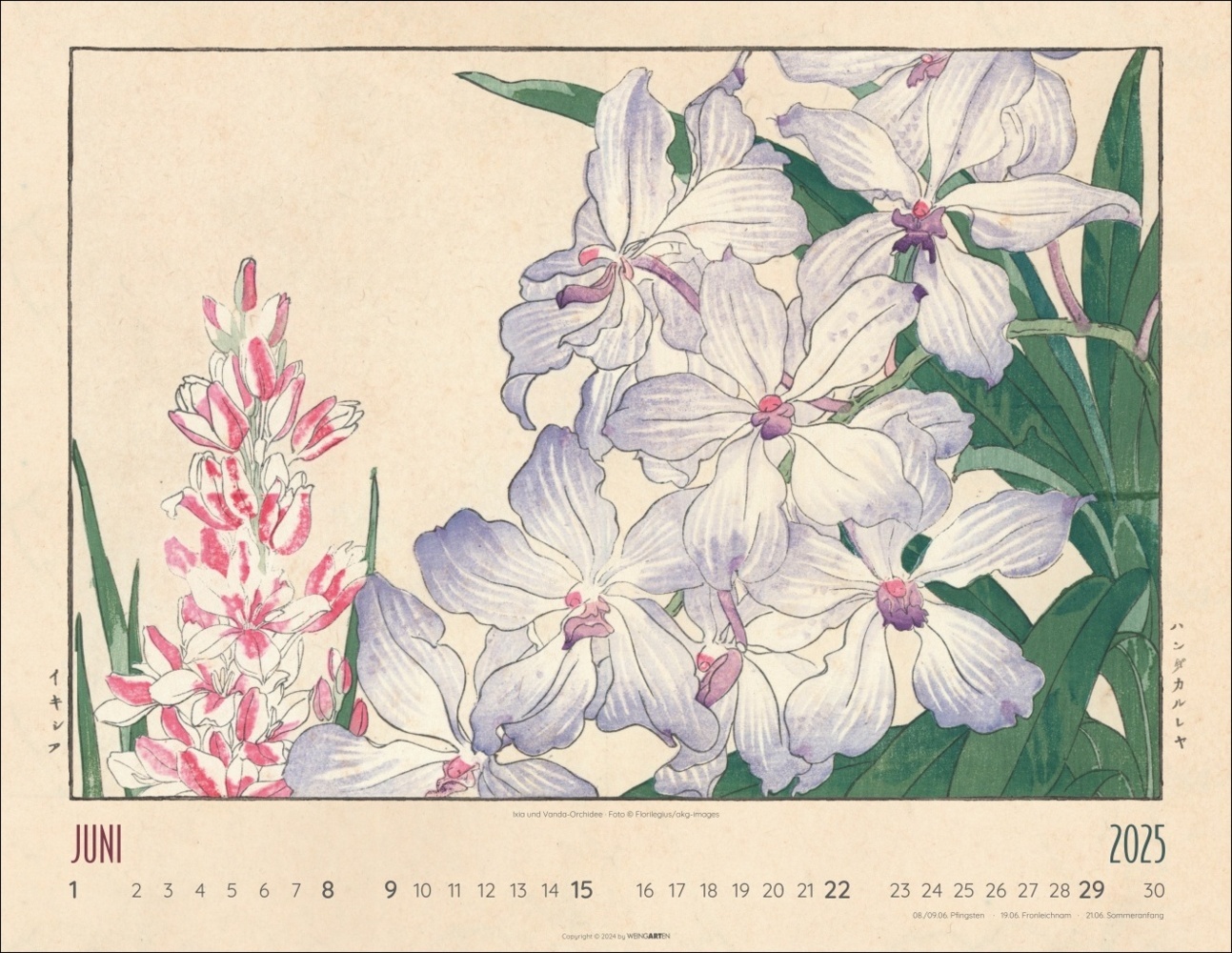 Bild: 9783839901298 | Flower Art Kalender 2025 | Tanigami Konan | Kalender | Spiralbindung