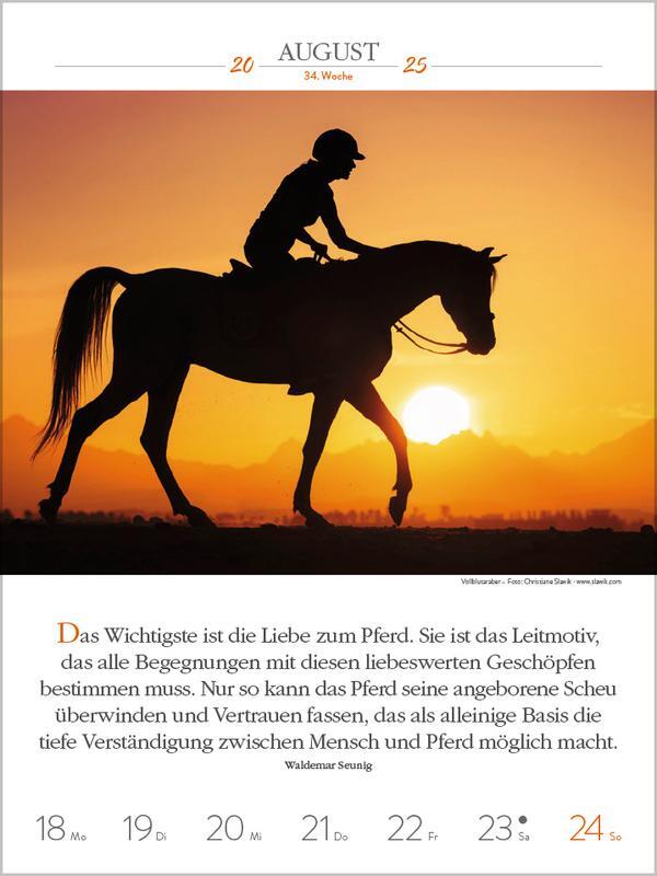 Bild: 9783731877233 | Literaturkalender Pferde 2025 | Verlag Korsch | Kalender | 54 S.