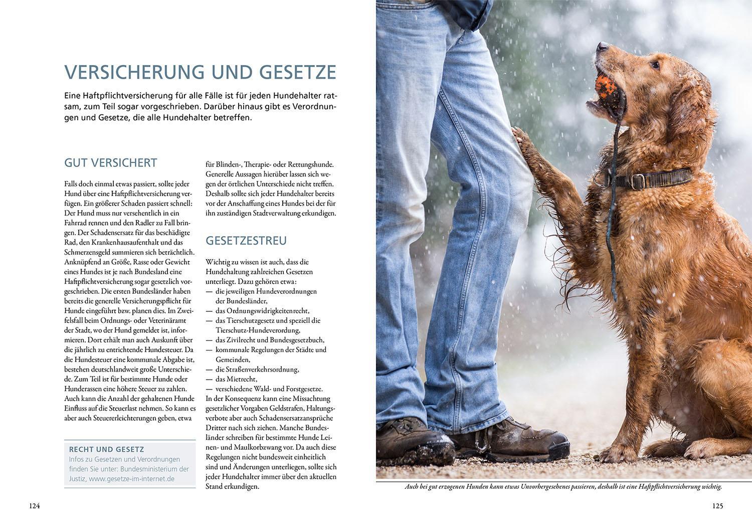 Bild: 9783440162941 | Hundeführerschein und Sachkundenachweis | Mit Frage-Antwort-Katalog