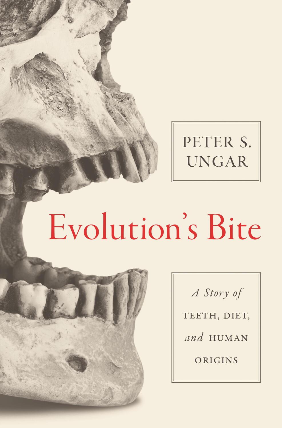 Cover: 9780691160535 | Evolution's Bite | A Story of Teeth, Diet, and Human Origins | Ungar