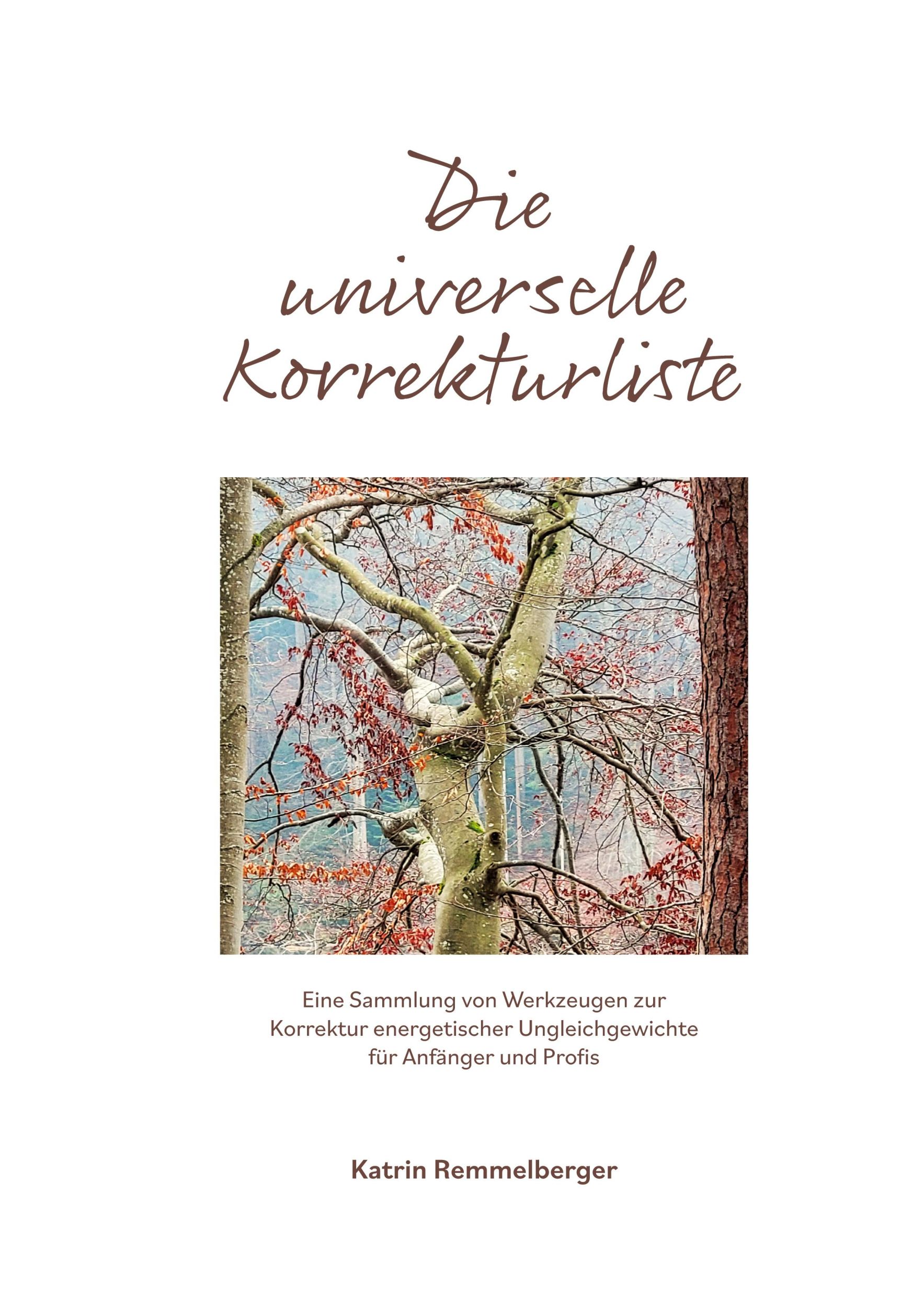 Cover: 9783769322507 | Die universelle Korrekturliste | Katrin Remmelberger | Taschenbuch