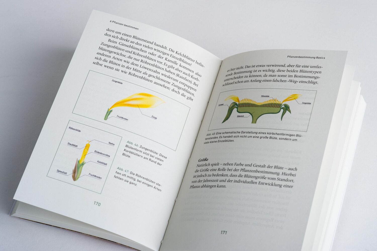 Bild: 9783328107002 | Mein Wildkräuter-Guide | Manuel Larbig | Taschenbuch | 336 S. | 2021