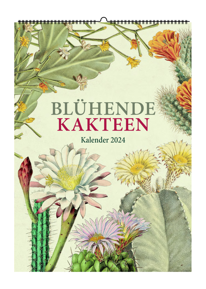 Cover: 9783968491097 | Blühende Kakteen. Wandkalender 2024 | Zeichnungen von Toni Gürke