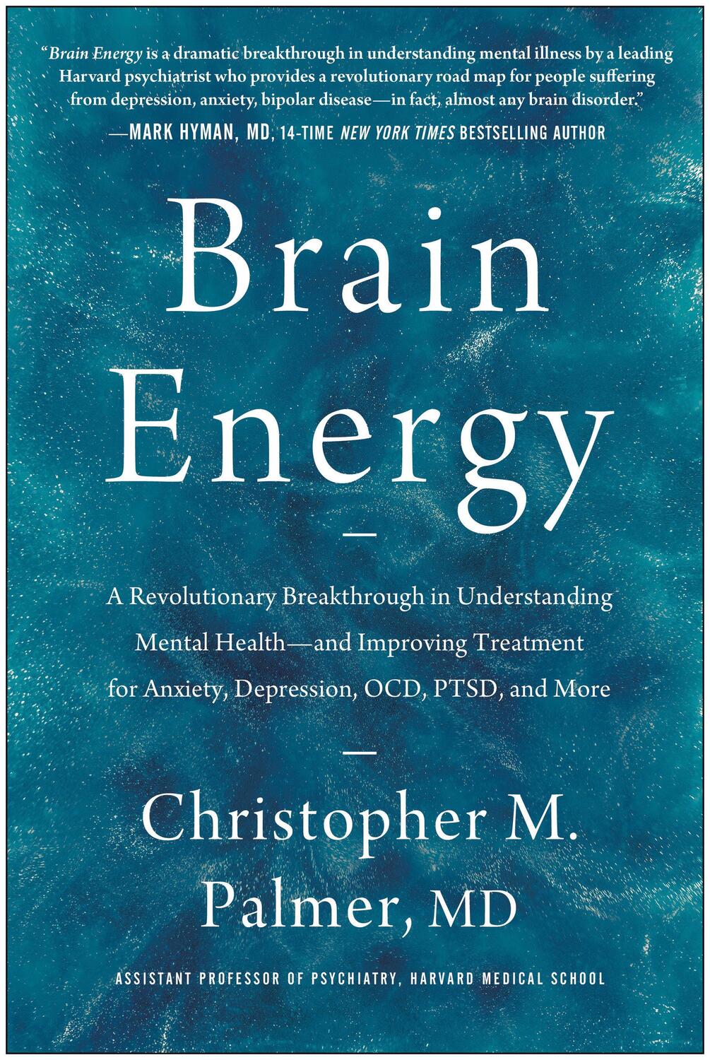 Cover: 9781637741580 | Brain Energy | Christopher M. Palmer | Buch | Gebunden | Englisch
