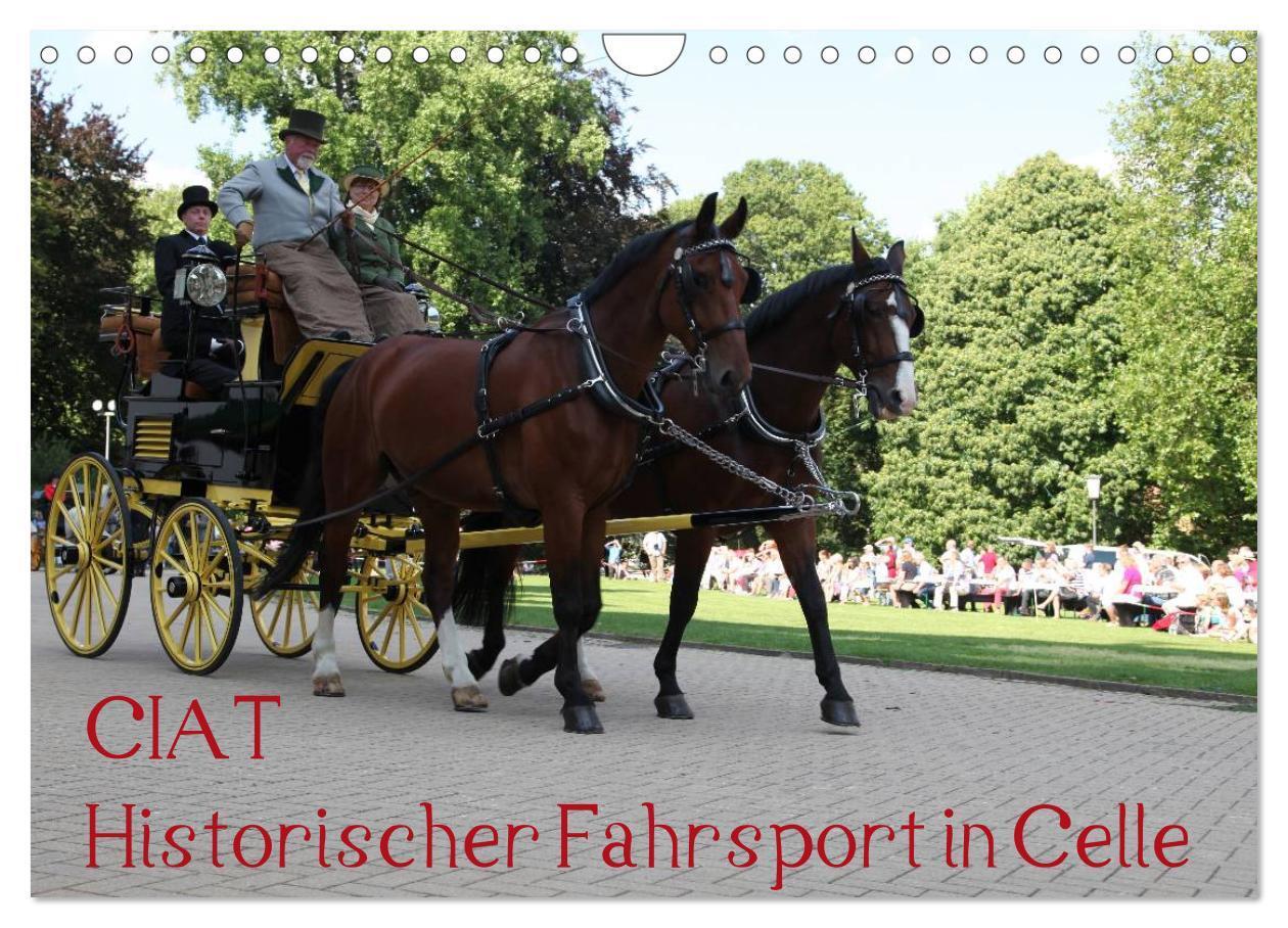 Cover: 9783675471894 | CIAT - Historischer Fahrsport in Celle (Wandkalender 2024 DIN A4...