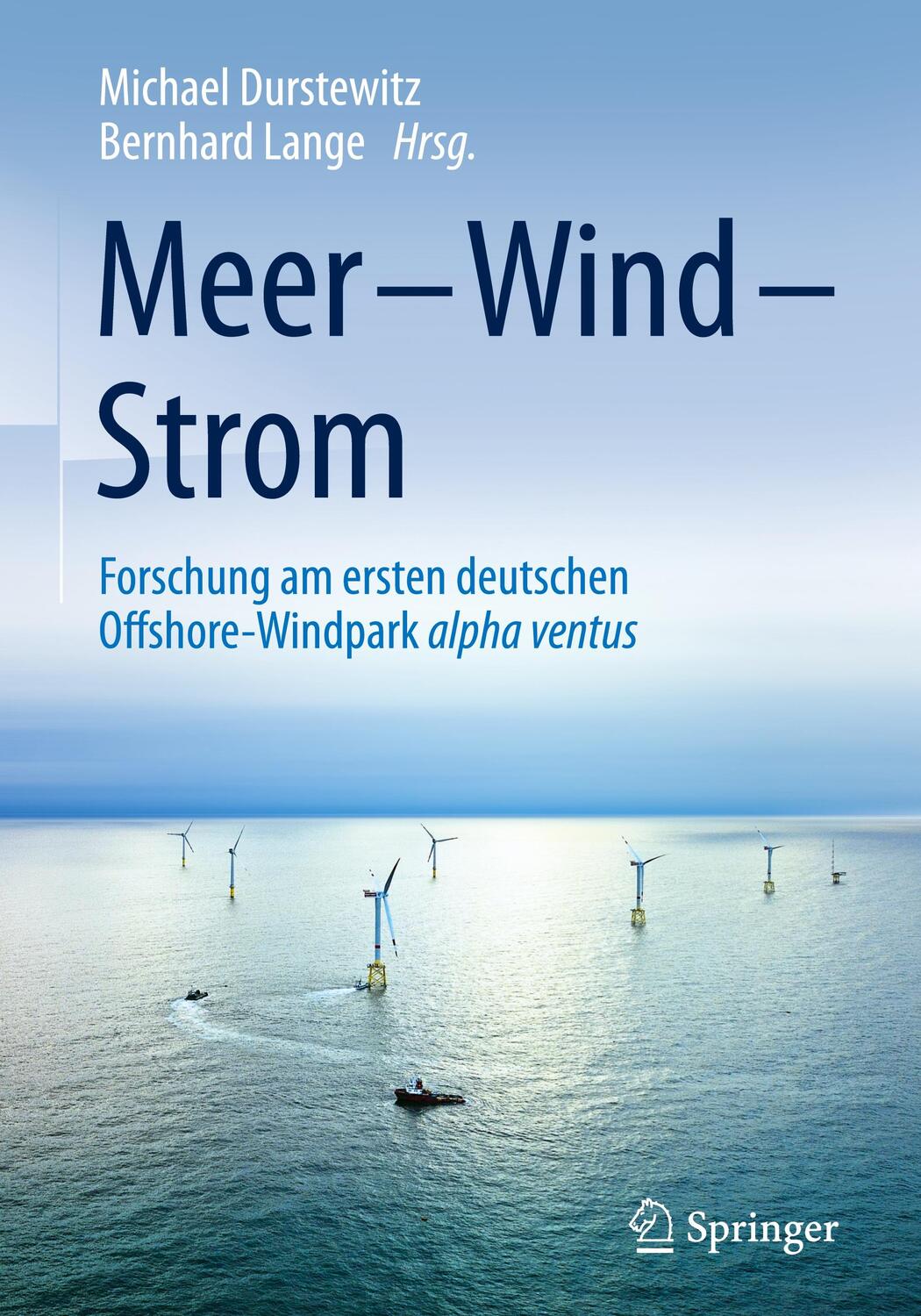 Cover: 9783658097820 | Meer ¿ Wind ¿ Strom | Bernhard Lange (u. a.) | Buch | XXV | Deutsch