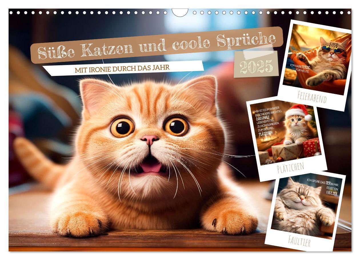 Cover: 9783383773457 | Süße Katzen und coole Sprüche (Wandkalender 2025 DIN A3 quer),...