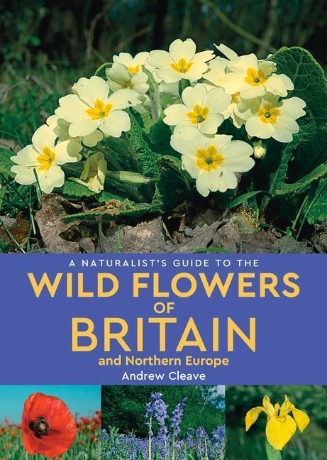 Cover: 9781912081141 | A Naturalist's Guide to Wild Flowers of Britain & Northern Europe