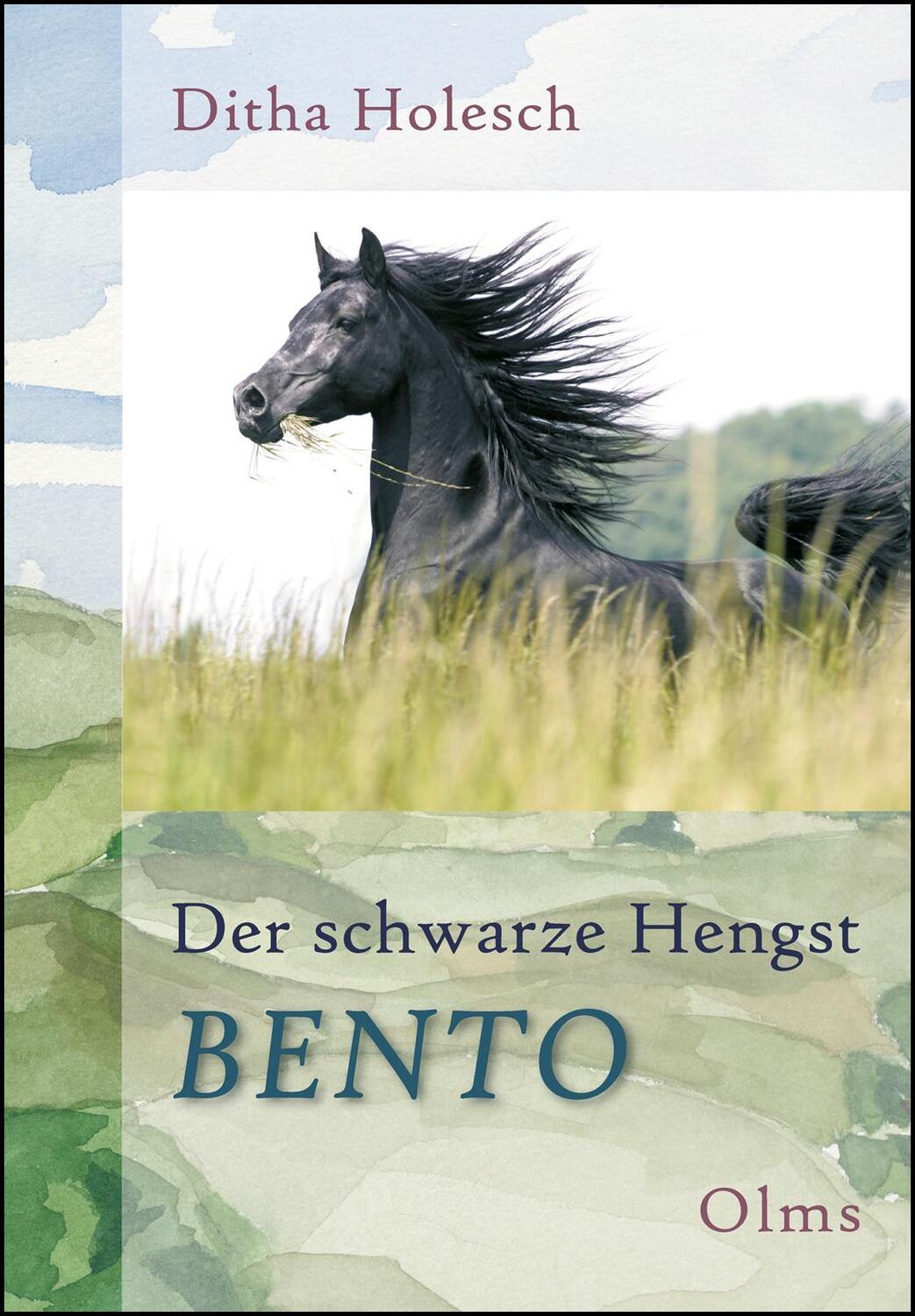 Cover: 9783487084619 | Der schwarze Hengst Bento | Ditha Holesch | Buch | Olms Presse | 2021